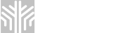 Oak